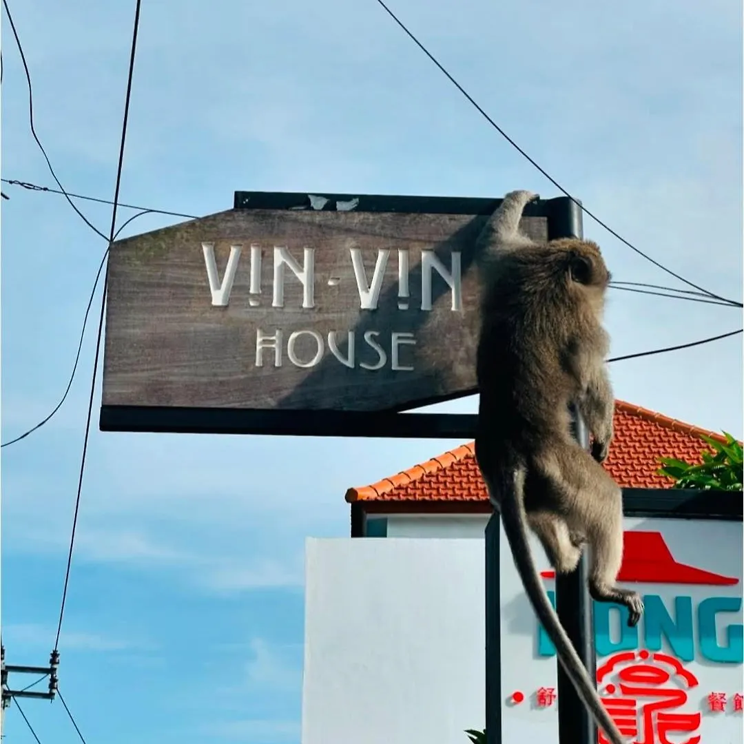 Vin Vin Hostel Ubud